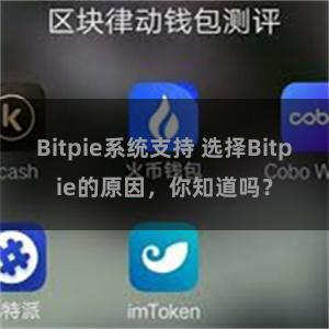 Bitpie系统支持 选择Bitpie的原因，你知道吗？