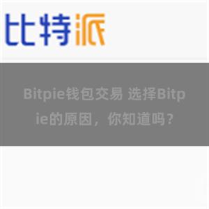 Bitpie钱包交易 选择Bitpie的原因，你知道吗？