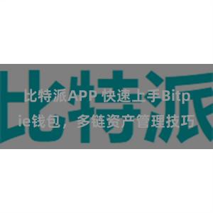 比特派APP 快速上手Bitpie钱包，多链资产管理技巧