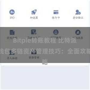 Bitpie转账教程 比特派钱包多链资产管理技巧：全面攻略