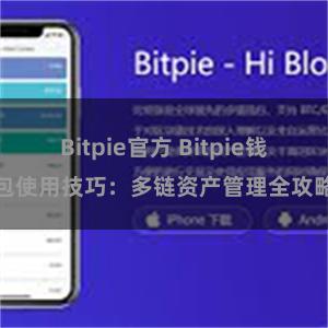 Bitpie官方 Bitpie钱包使用技巧：多链资产管理全攻略