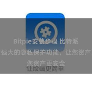 Bitpie安装步骤 比特派钱包：强大的隐私保护功能，让您资产更安全