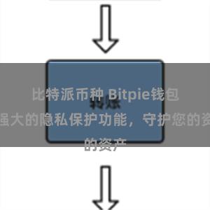 比特派币种 Bitpie钱包：强大的隐私保护功能，守护您的资产