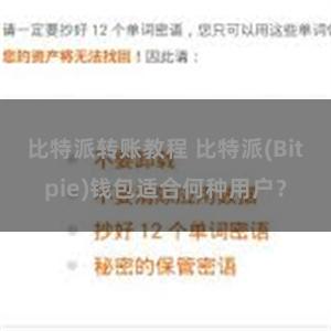 比特派转账教程 比特派(Bitpie)钱包适合何种用户？