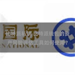 比特派私钥 比特派钱包的资产风险评估工具如何使用？