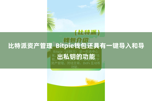 比特派资产管理  Bitpie钱包还具有一键导入和导出私钥的功能