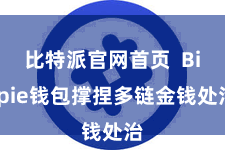 比特派官网首页  Bitpie钱包撑捏多链金钱处治