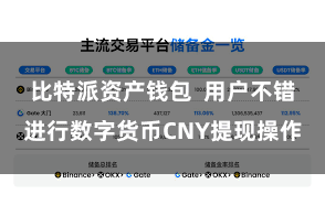比特派资产钱包 用户不错进行数字货币CNY提现操作