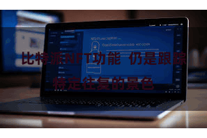 比特派NFT功能  仍是跟踪特定往复的景色