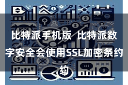 比特派手机版  比特派数字安全会使用SSL加密条约
