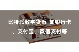 比特派数字货币  如银行卡、支付宝、微信支付等