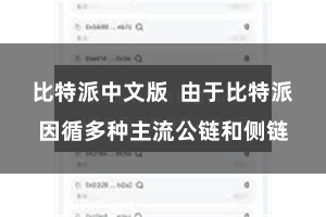 比特派中文版  由于比特派因循多种主流公链和侧链